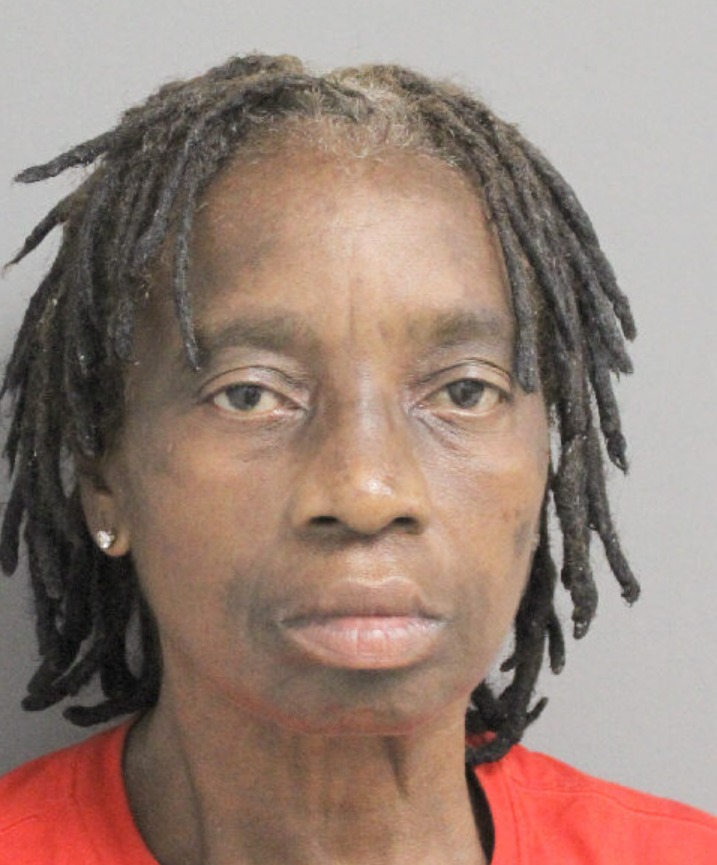 Sixty six year old Cheryl ripped off Dollar General with a cart full of stolen goodies so Precinct 2 took her freedom.