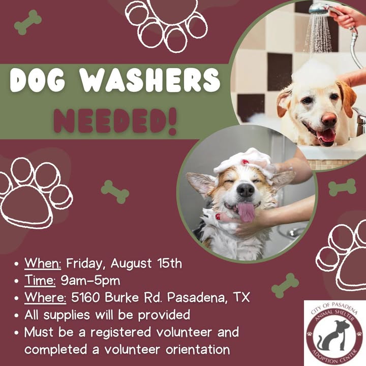 Help the Animal Shelter tomorrow to wash furry friends at the shelter to make puppies shine before the Houston Pets Alive’s Puppy Palooza event.
