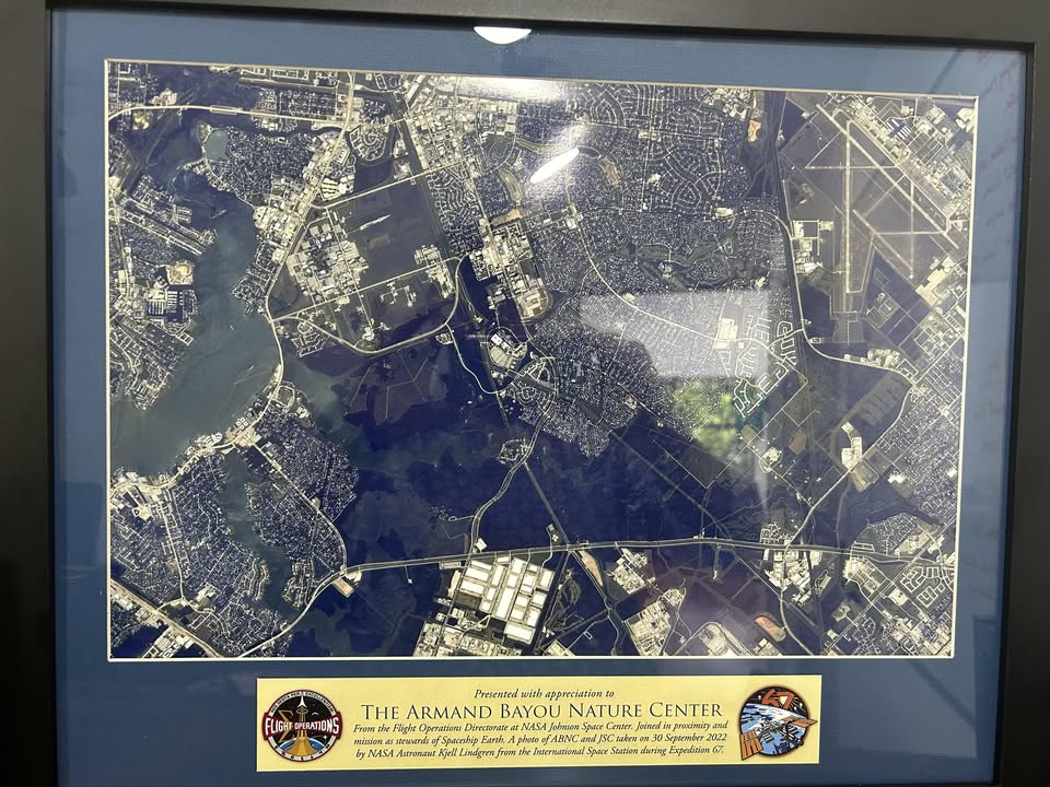 In celebration of World Photography Day, Armand Bayou showcases a stunning view of Armand Bayou captured from the International Space Station. In celebration of World Photography Day, Armand Bayou showcases a stunning view of Armand Bayou captured from the International Space Station.