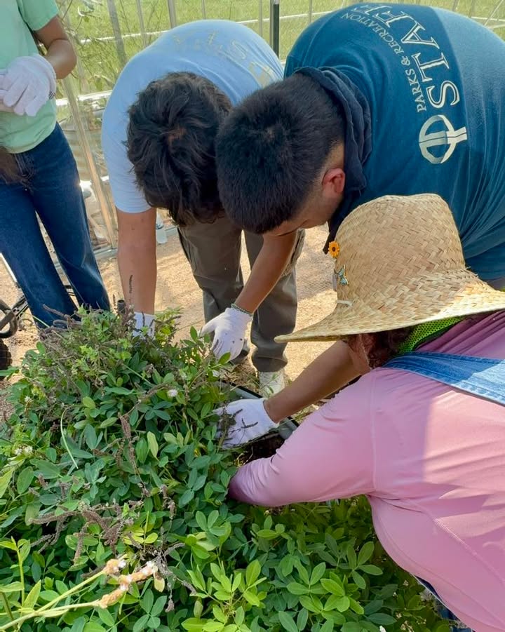 Parks & Recreation Staff had fun with Garden Leader Mary, digging up peanuts and learning the farm-to-table journey. Parks & Recreation Staff had fun with Garden Leader Mary, digging up peanuts and learning the farm-to-table journey.
