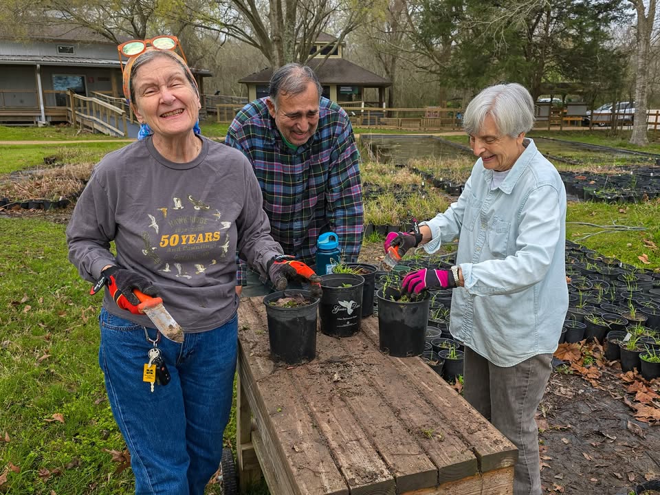 Armand Bayou shoutout to their awesome volunteers whose muddy boots and dirt-stained gloves transform landscapes into thriving habitats for all. Armand Bayou shoutout to their awesome volunteers whose muddy boots and dirt-stained gloves transform landscapes into thriving habitats for all.