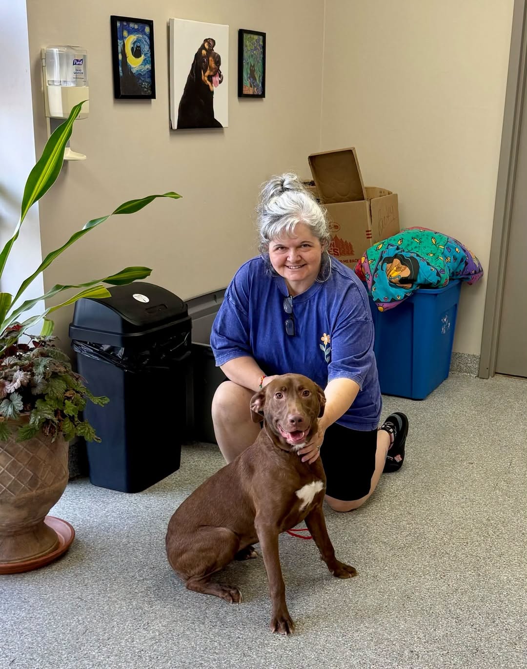 Violet has officially upgraded from shelter resident to her mom’s best decision. Violet has officially upgraded from shelter resident to her mom’s best decision.